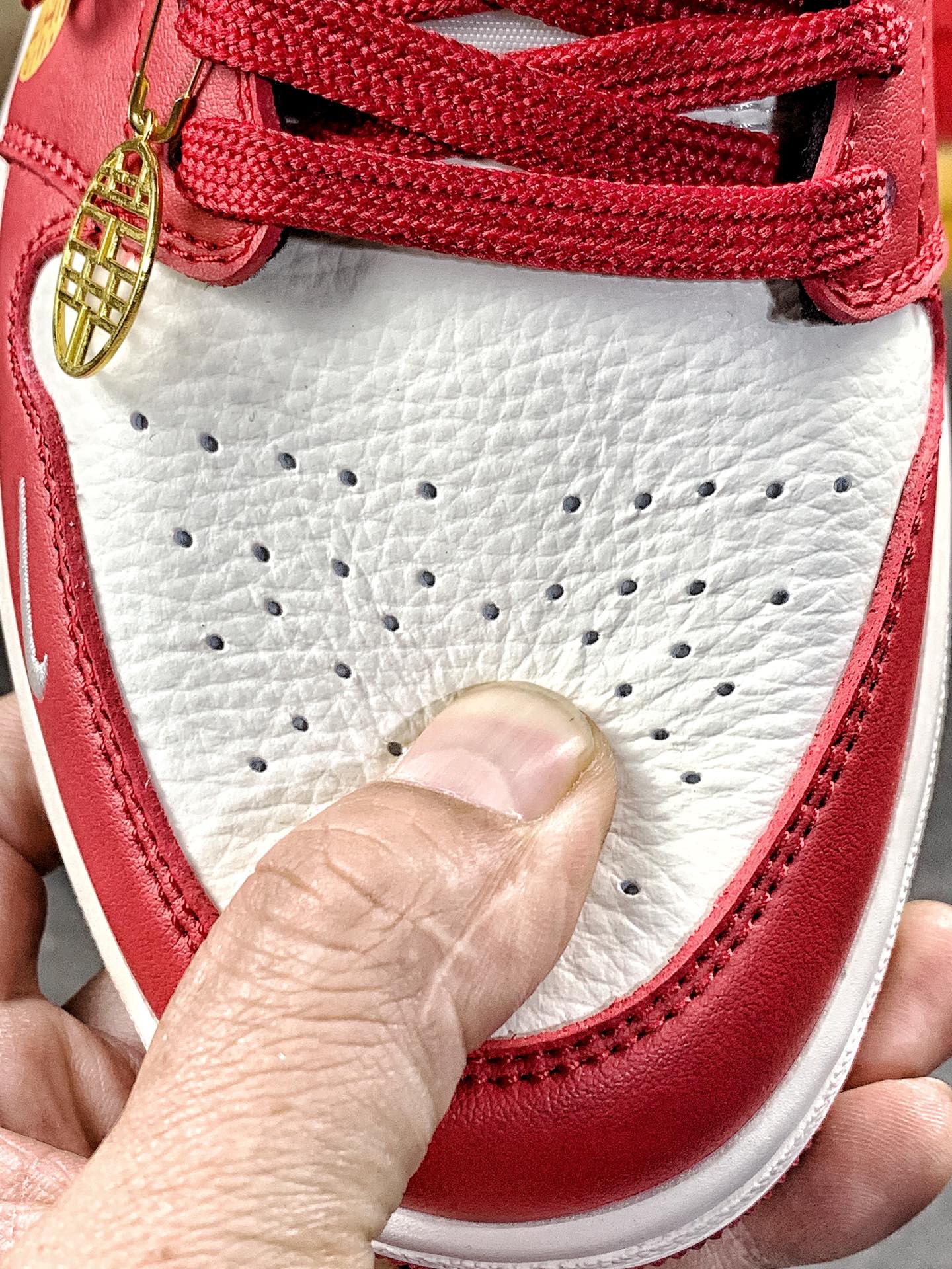Nike Jordan shoe